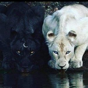 Meet your Posher, Jeanette